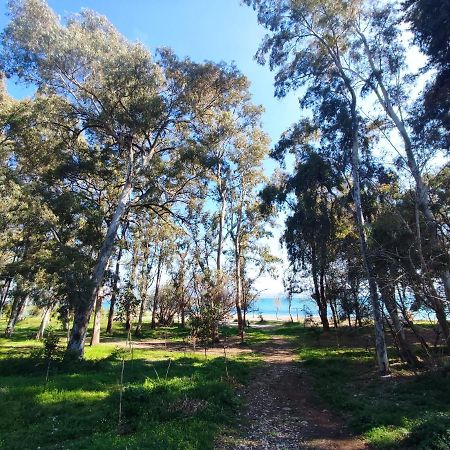 פרבזה Palmeira Sea & City מראה חיצוני תמונה